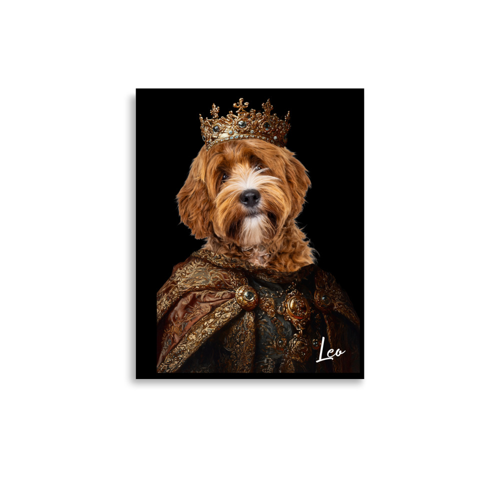 enhanced-matte-paper-poster-in-11x14-front-682d32e5c756c.jpg
