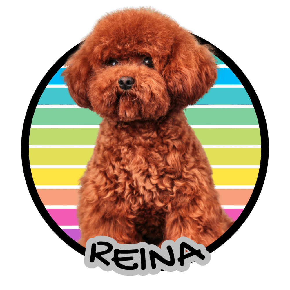 reina