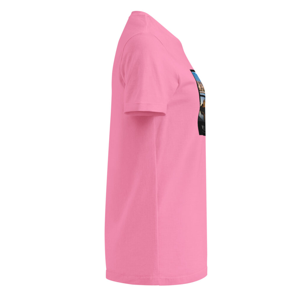 womens-basic-softstyle-t-shirt-azalea-right-682cf701db175.jpg