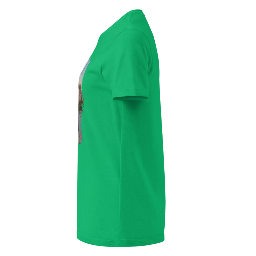 womens-basic-softstyle-t-shirt-irish-green-left-6828964cc51c6.jpg