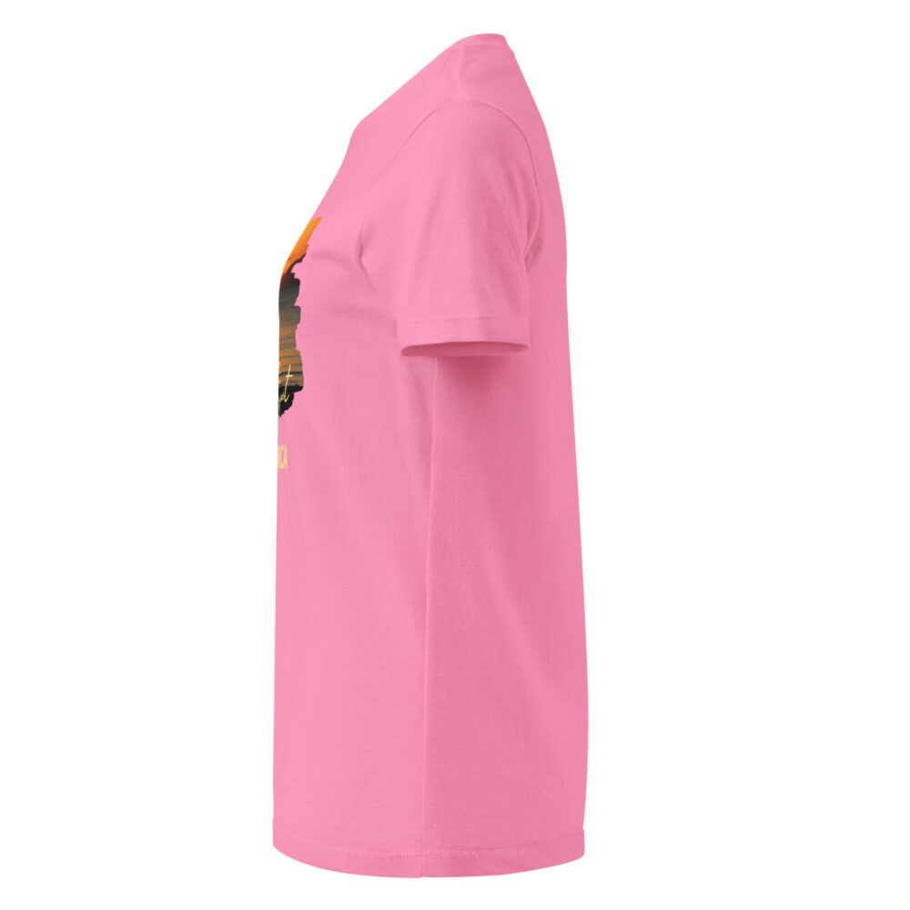 womens-basic-softstyle-t-shirt-azalea-left-683d8ff75d8ab.jpg