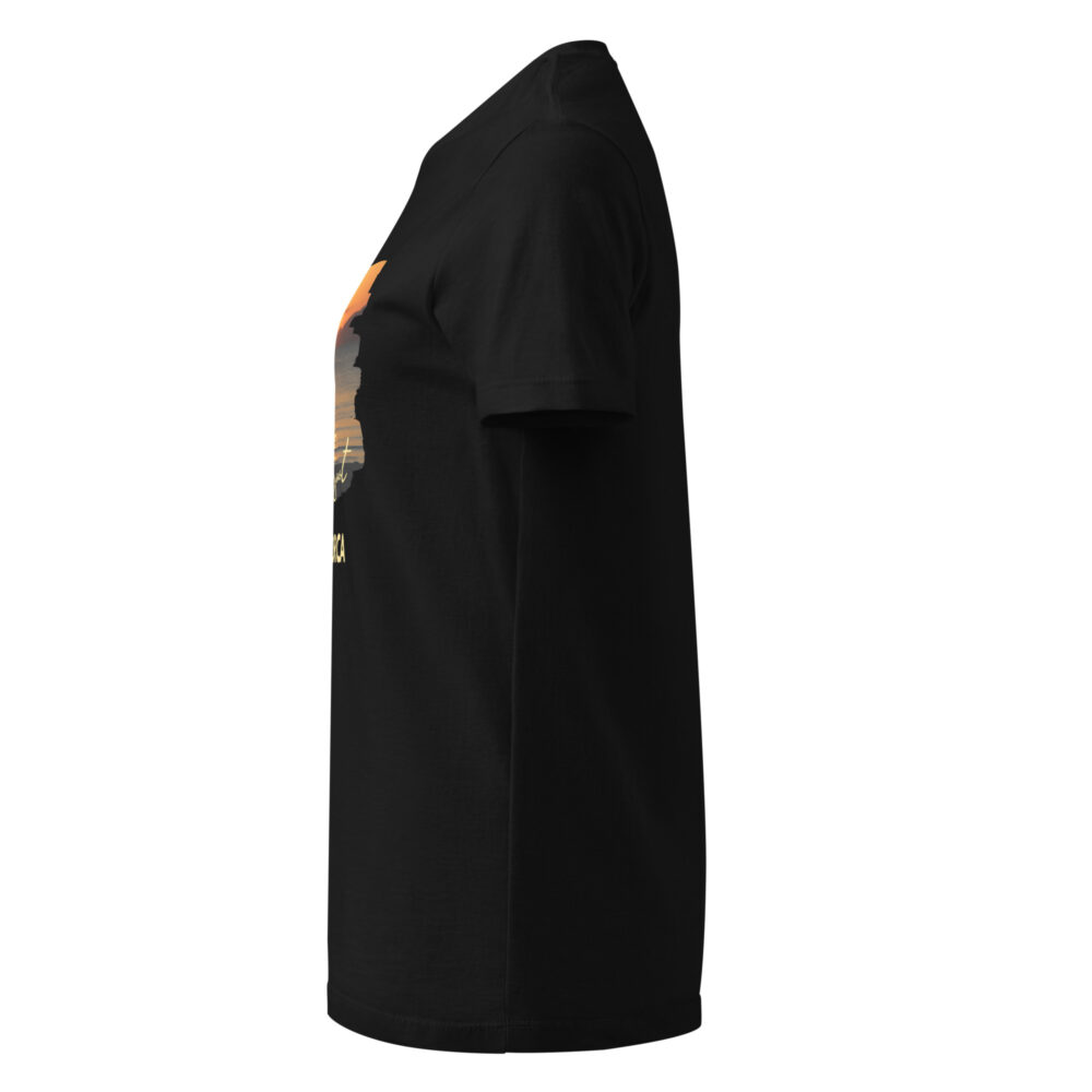 womens-basic-softstyle-t-shirt-black-left-683d8ff7553c5.jpg