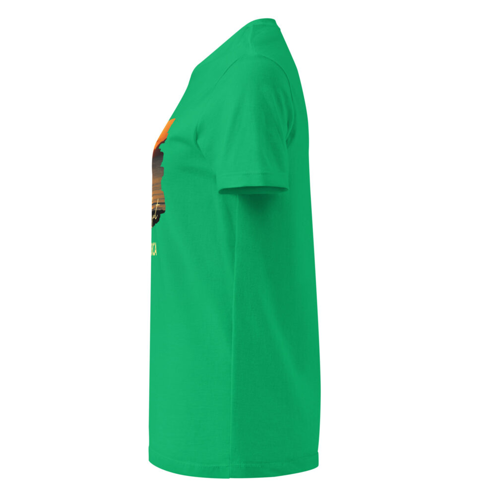 womens-basic-softstyle-t-shirt-irish-green-left-683d8ff75b9ce.jpg