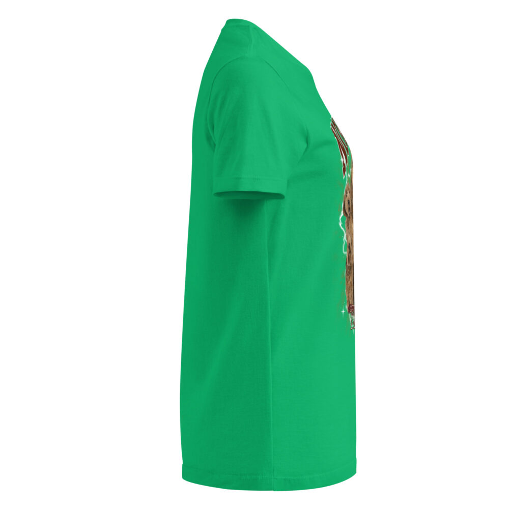 womens-basic-softstyle-t-shirt-irish-green-right-6848d1151e2c1.jpg