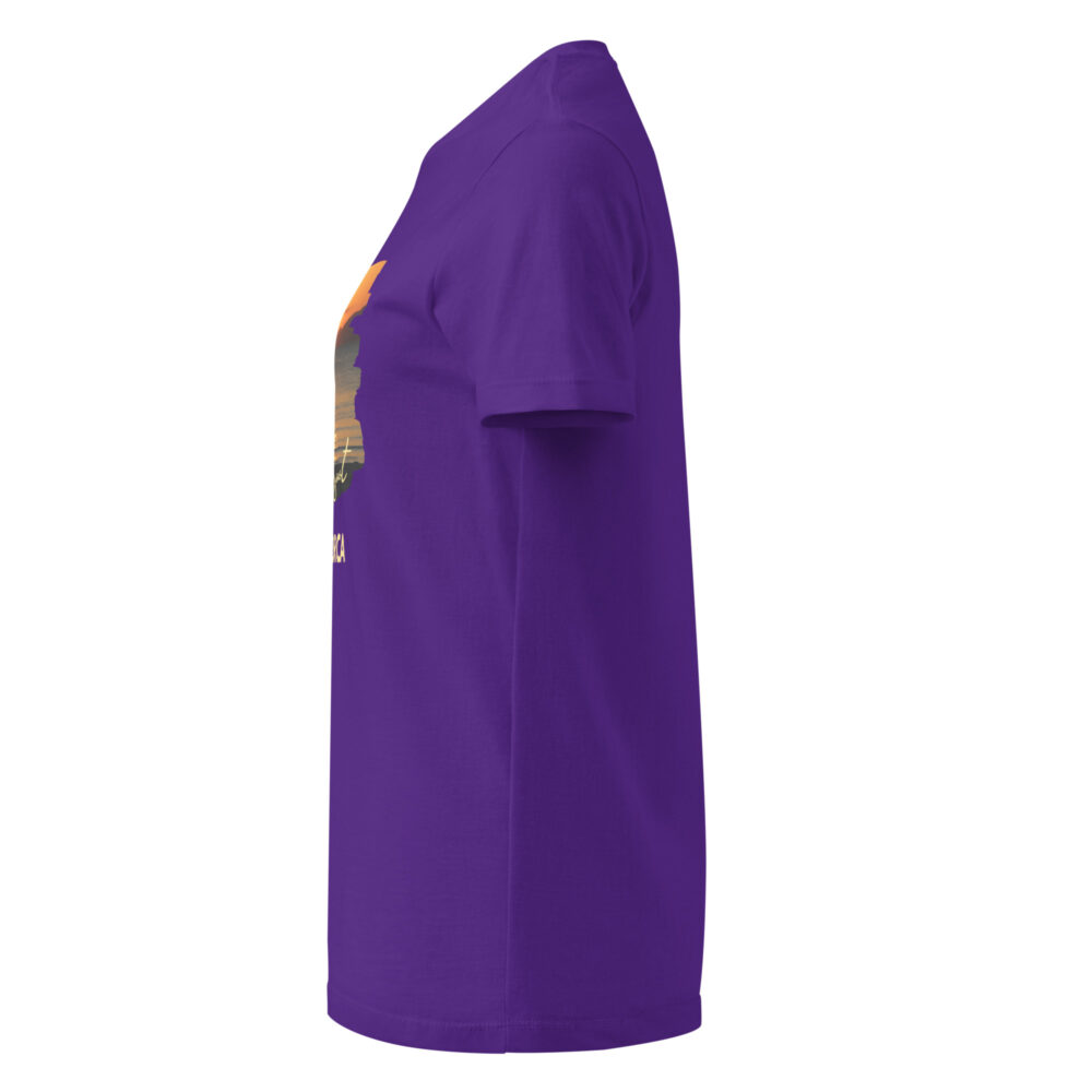 womens-basic-softstyle-t-shirt-purple-left-683d8ff75665f.jpg