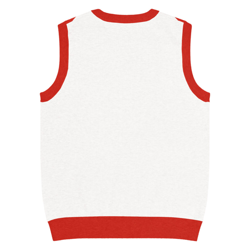 knitted-v-neck-vest-custom-2xl-back-6881628a4794b.jpg