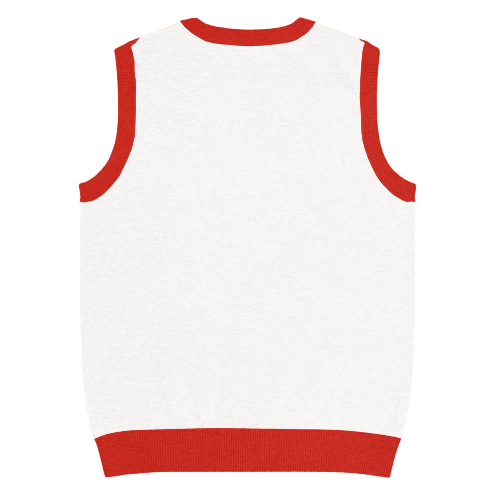 knitted-v-neck-vest-custom-3xl-back-6881628a47a96.jpg