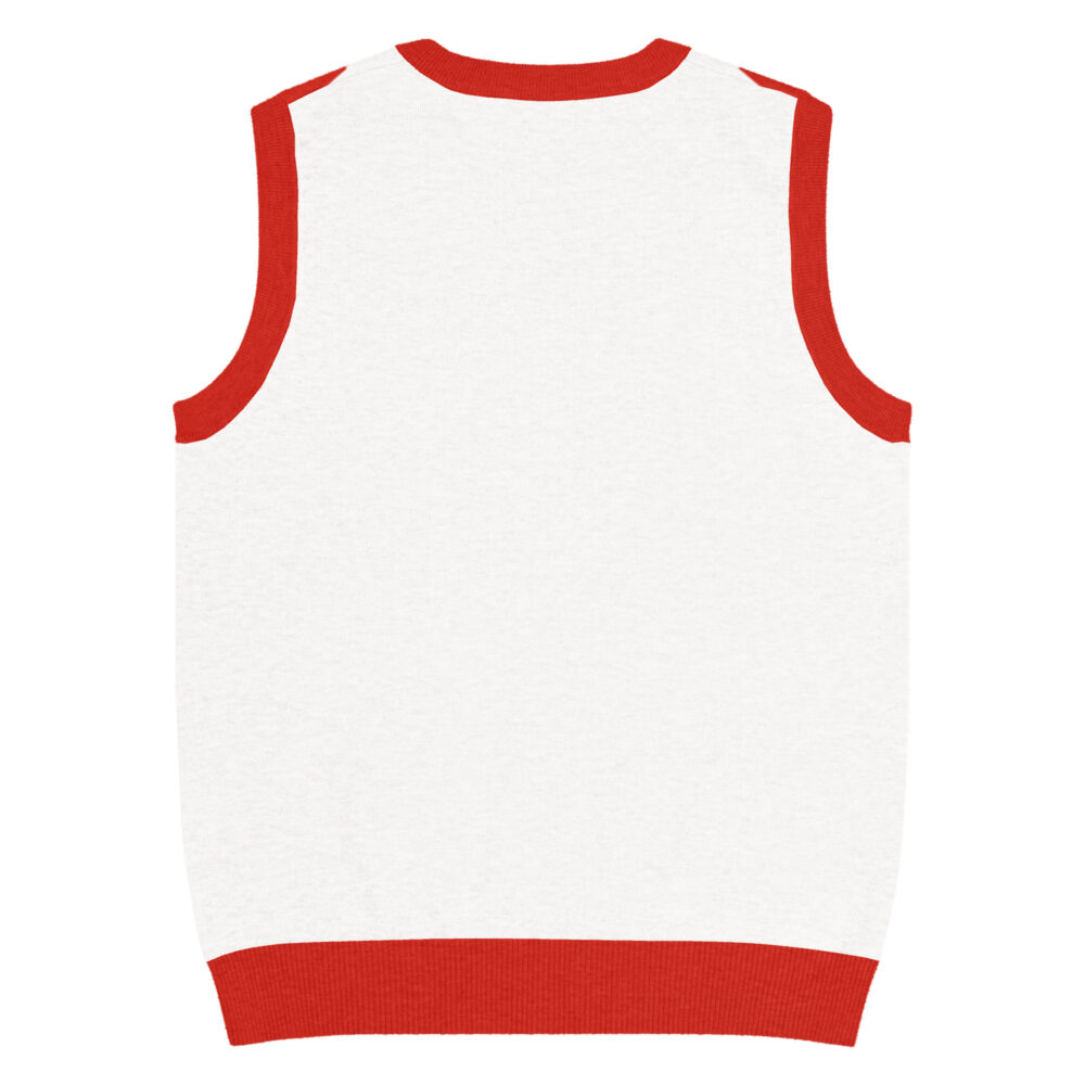 knitted-v-neck-vest-custom-l-back-6881628a476d7.jpg