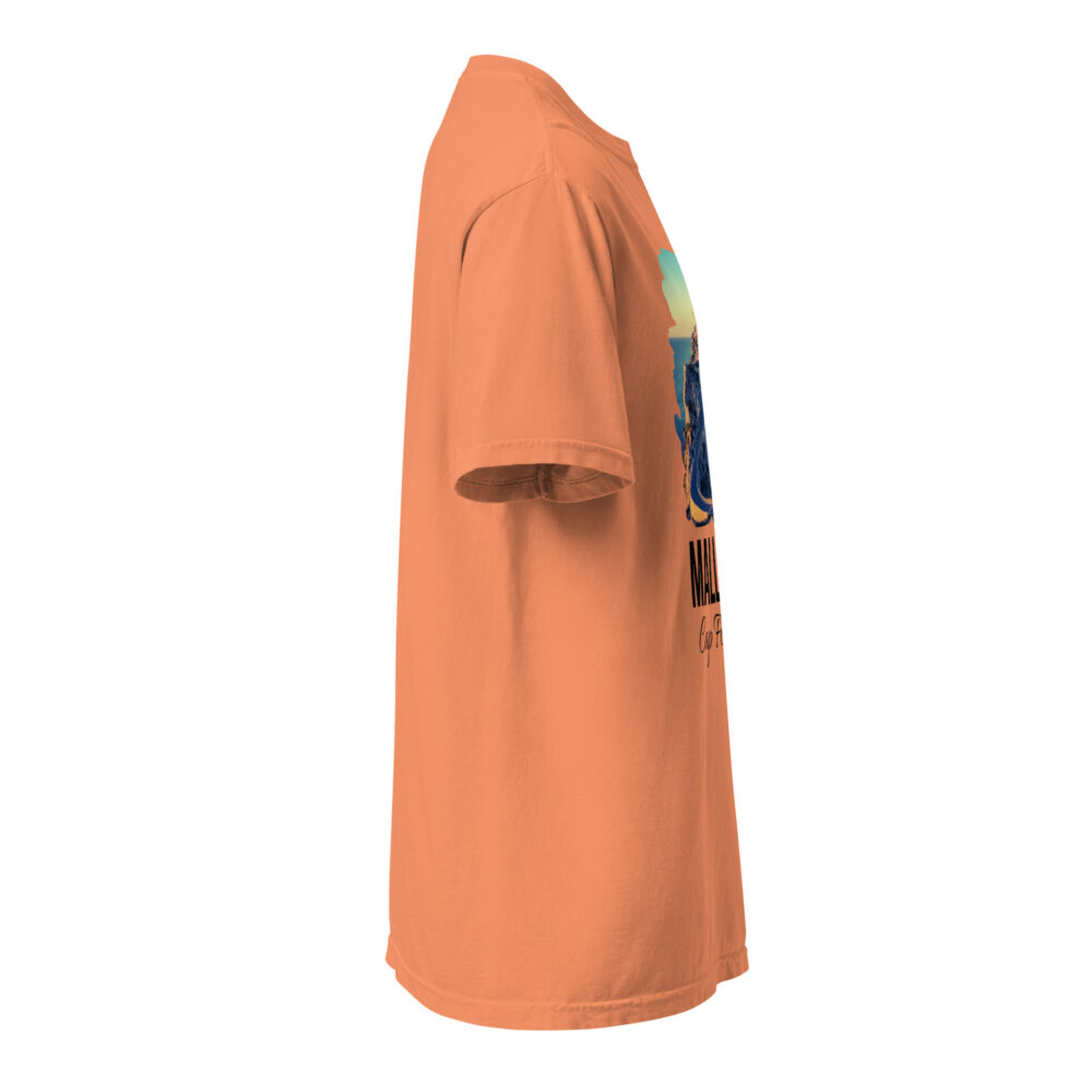 unisex-garment-dyed-heavyweight-t-shirt-terracotta-right-687982c78453f.jpg