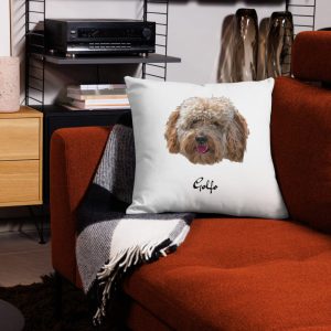 all-over-print-premium-pillow-22x22-front-65236a2948fb7.jpg