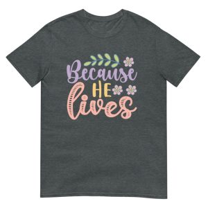 unisex-basic-softstyle-t-shirt-dark-heather-front-64b316c343ef4.jpg