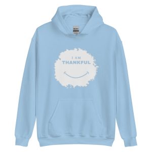 unisex-heavy-blend-hoodie-light-blue-front-64b7f9f2ec0d8.jpg