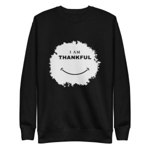 unisex-premium-sweatshirt-black-front-64b7b2de64ef7.jpg