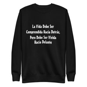 unisex-premium-sweatshirt-black-front-64d85902f166c.jpg
