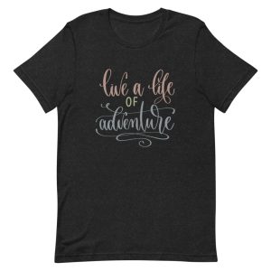 unisex-staple-t-shirt-black-heather-front-64d2eb122293b.jpg