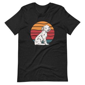 unisex-staple-t-shirt-black-heather-front-64d670418335c.jpg